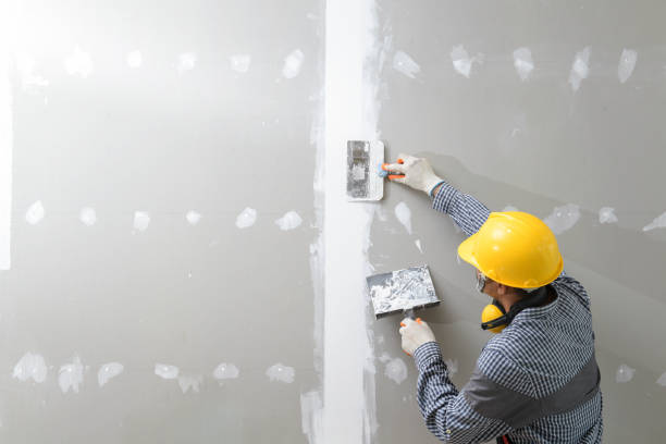 Best Emergency Mold Remediation  in Konawa, OK