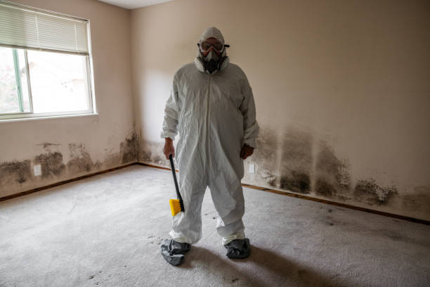 Best Crawl Space Mold Remediation  in Konawa, OK